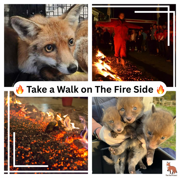 Take a Walk on the Fire Side!