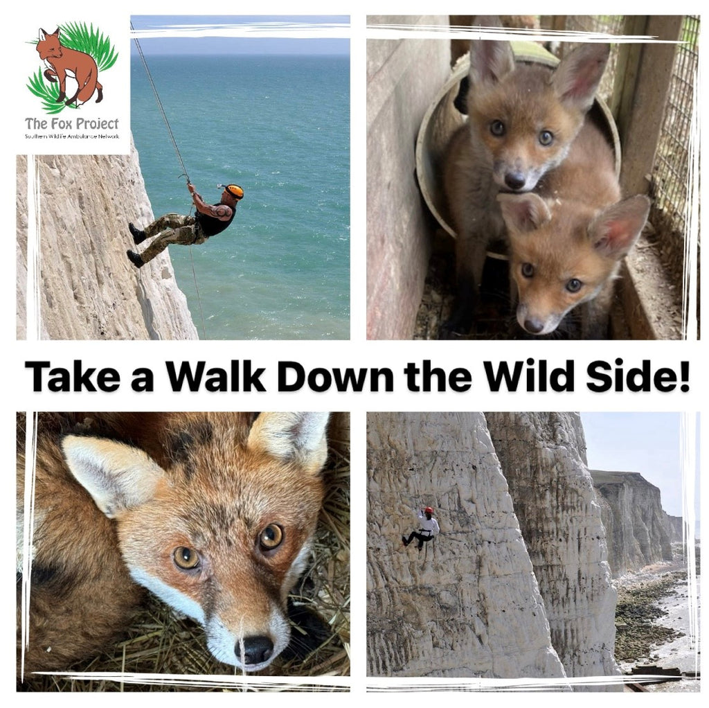 Take a Walk Down the Wild Side!