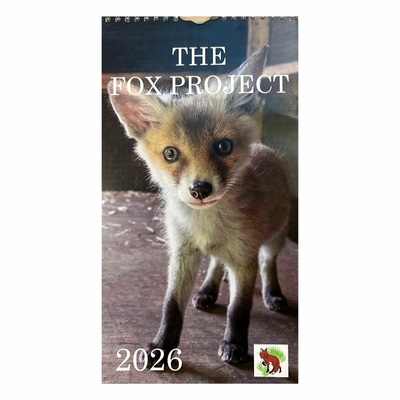 The 2026 Calendar!