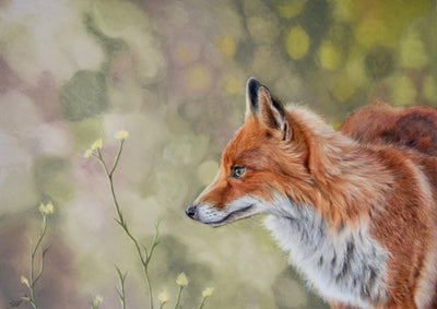 Stunning Limited Edition (1/100) A4 print of a fox in the Autumn landscape