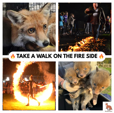 Take a Walk on the Fire Side! — Fundraising Fire Walk