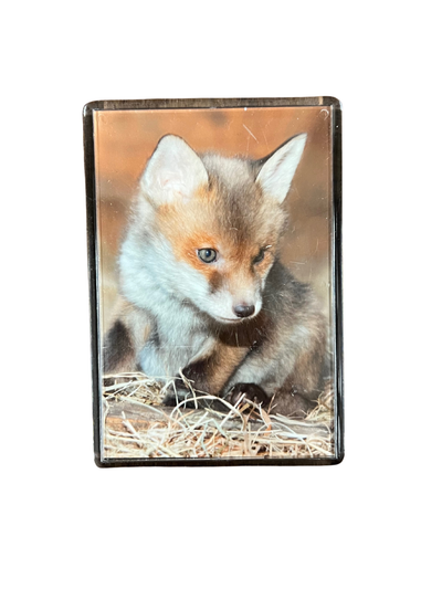Fox Fridge Magnet - Bill