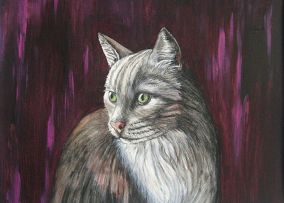 'Velvet Gaze' - Original piece by Catherine O'Donnell