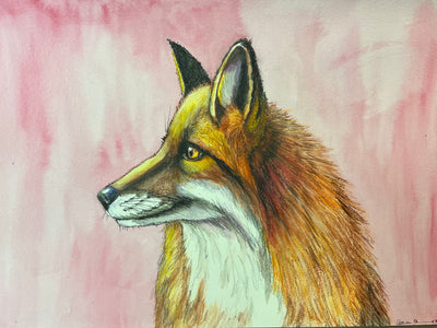 Sunlit Gaze: Red Fox Portrait in Warm Hues by Catherine O’Donnell