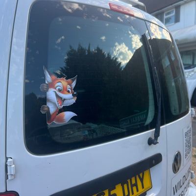Peeking fox car sticker