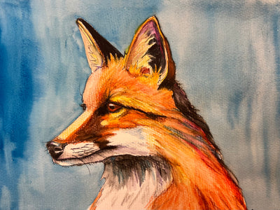 Azure Gaze: Original Fox Portrait in Blue Wash by Catherine O’Donnell