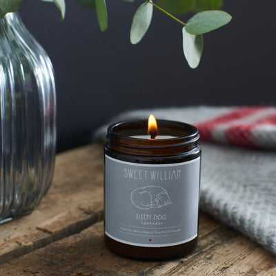 Sleepy Dog Organic Candle