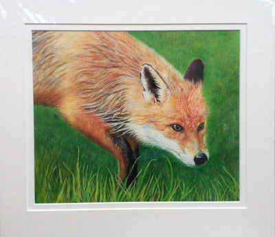 Original painting by Fiona Murgatroyd: Vixen.
