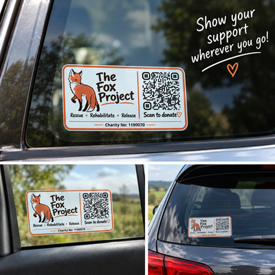 The Fox Project Car Window Sticker