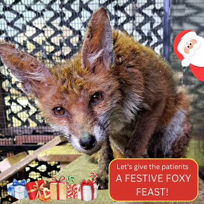 Festive Foxy Feast