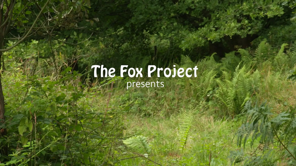 The Fox Project - Southern Wildlife Ambulance Network